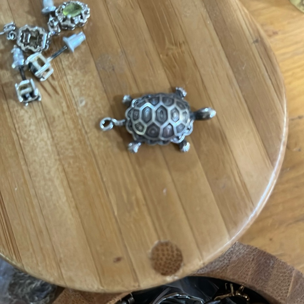 Sterling turtle charm